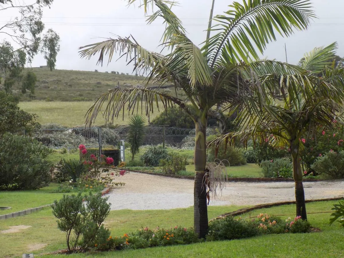 Guest house Haka Hana B&B Port Elizabeth